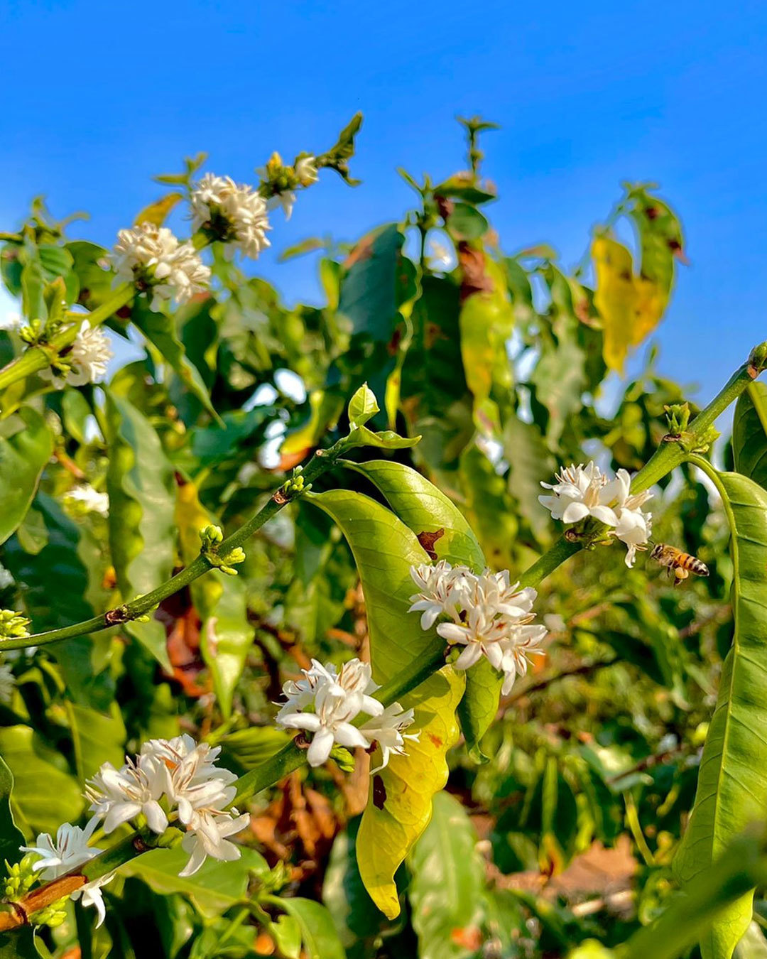 242155803_1220835108428683_6232674710216133959_n